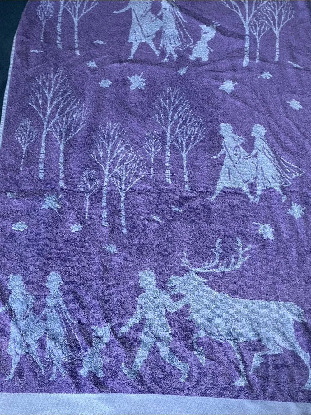 Frozen Towel